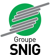 Logo de SNIG