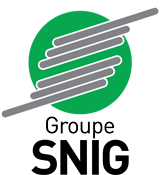 Logo de SNIG